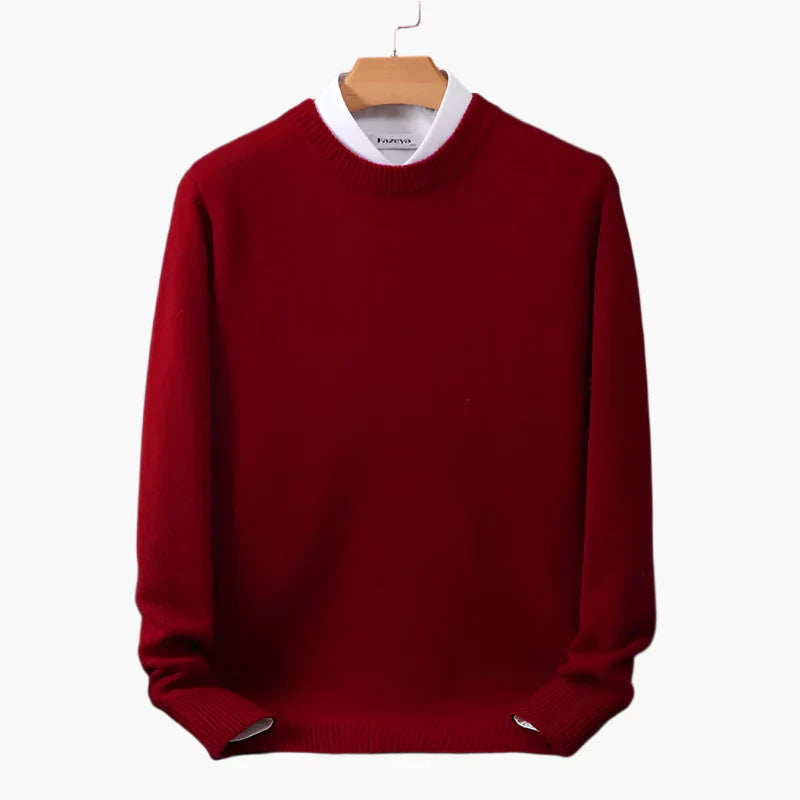 Eleganter Business Pullover mit Kragen