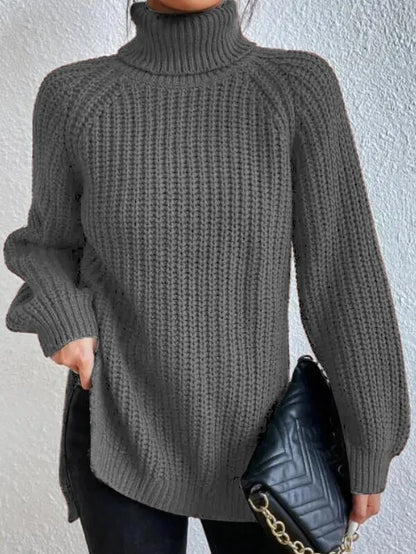 Weicher Frauen Rollkragen Pullover Modern