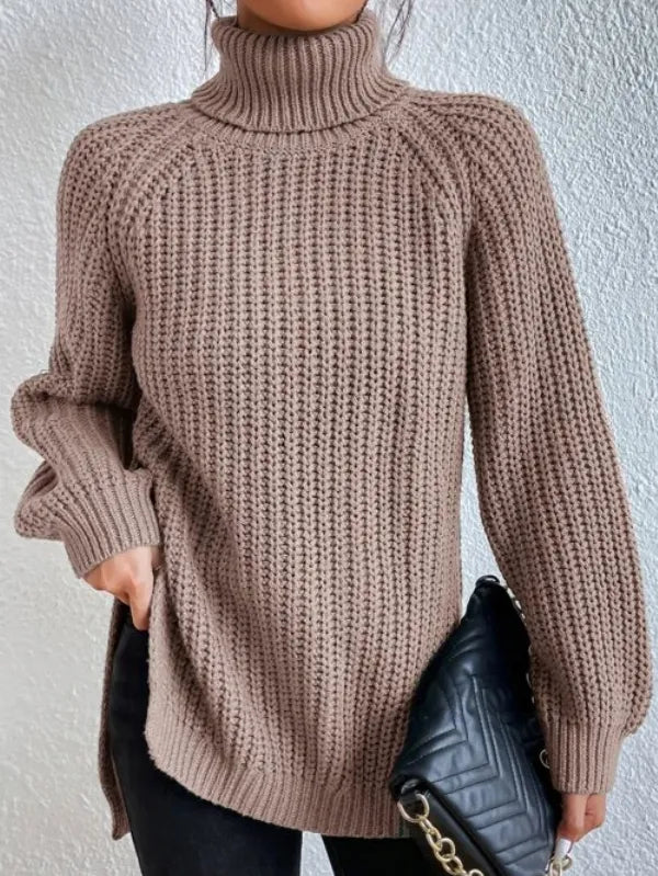 Weicher Frauen Rollkragen Pullover Modern