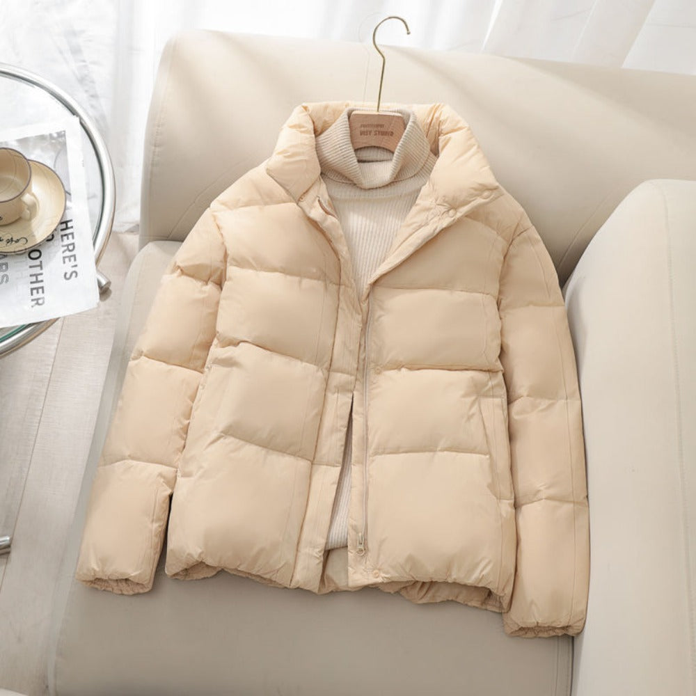 Elegante Damenkleider Mit Hochem Kragen