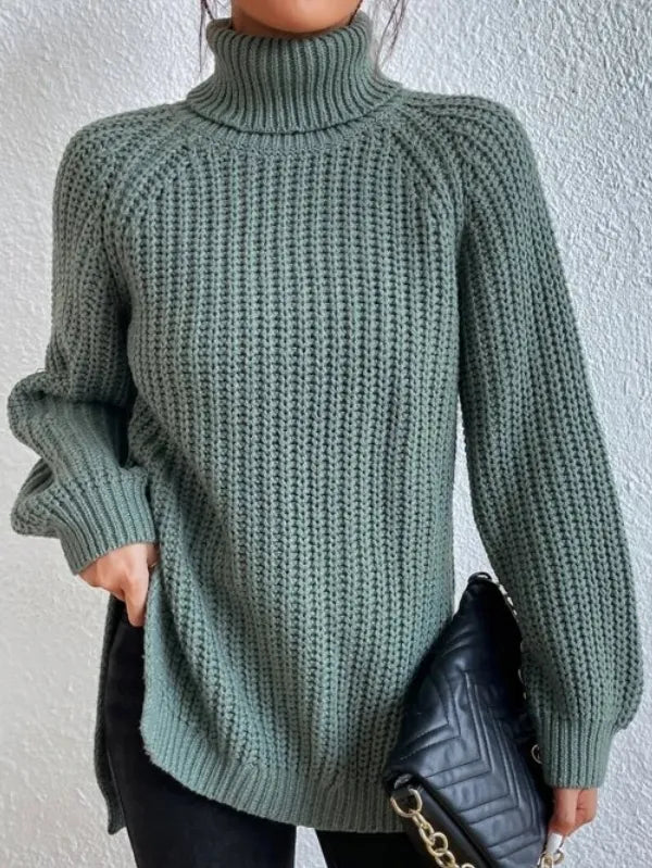 Weicher Frauen Rollkragen Pullover Modern