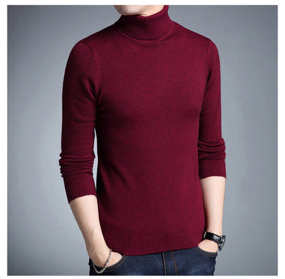 Schicke Rollkragenpullover Damen