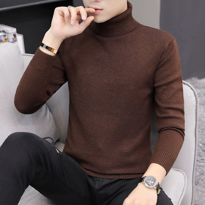 Herren Rollkragenpullover Bequem Modern