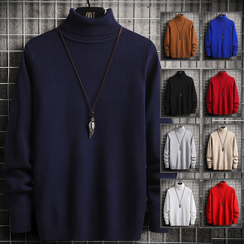 Herren Rollkragenpullover Modern Weich