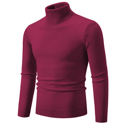 Herren Rollkragenpullover Feine Baumwolle Elegantes Design