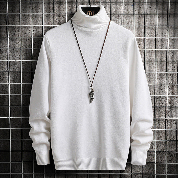 Herren Rollkragenpullover Bequem Modern