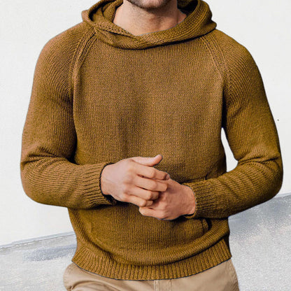 Herren Strickpullover Kapuze Feinmasche Modern