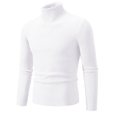 Herren Rollkragenpullover Hochwertig Komfortabel