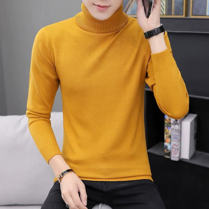 Herren Rollkragenpullover Bequem Modern