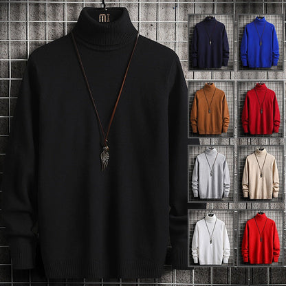 Herren Rollkragenpullover Modern Weich