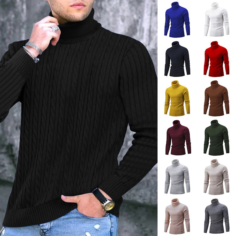 Herren Rollkragenpullover Modern Strukturiert - IdealeKleiden