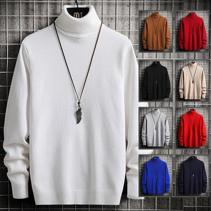 Herren Rollkragenpullover Modern Weich