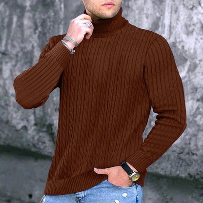 Herren Rollkragenpullover Modern Strukturiert