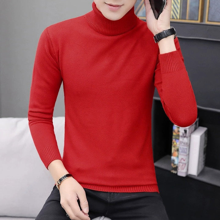 Herren Rollkragenpullover Bequem Modern