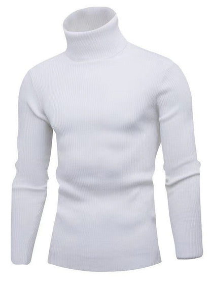 Herren Wollpullover Elegant Tom Polo