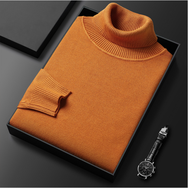 Stylischer Herren Rollkragenpullover