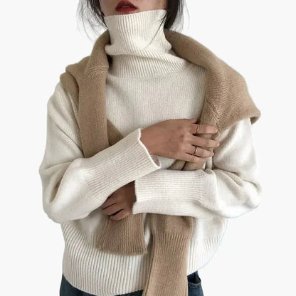 Modischer Rollkragen Pullover Herbst Winter