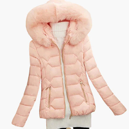 Winter Steppjacke Damen Kapuze Modern
