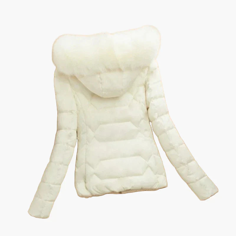 Winter Steppjacke Damen Kapuze Modern - IdealeKleiden