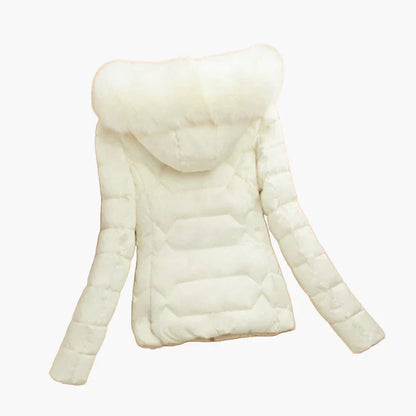 Winter Steppjacke Damen Kapuze Modern - IdealeKleiden