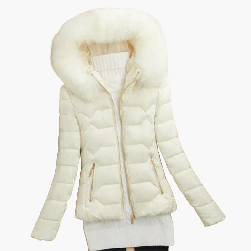 Winter Steppjacke Damen Kapuze Modern