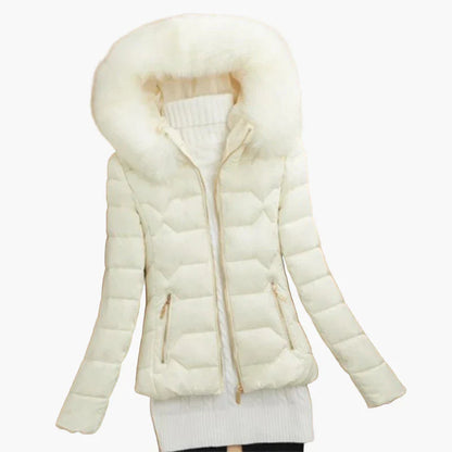 Winter Steppjacke Damen Kapuze Modern
