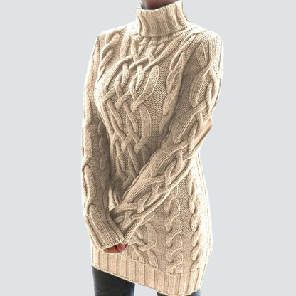 Weiches Turtleneck Kleid Grobstrick