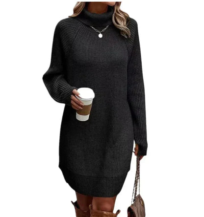Weiches Damen Sweatkleid Mit Kragen