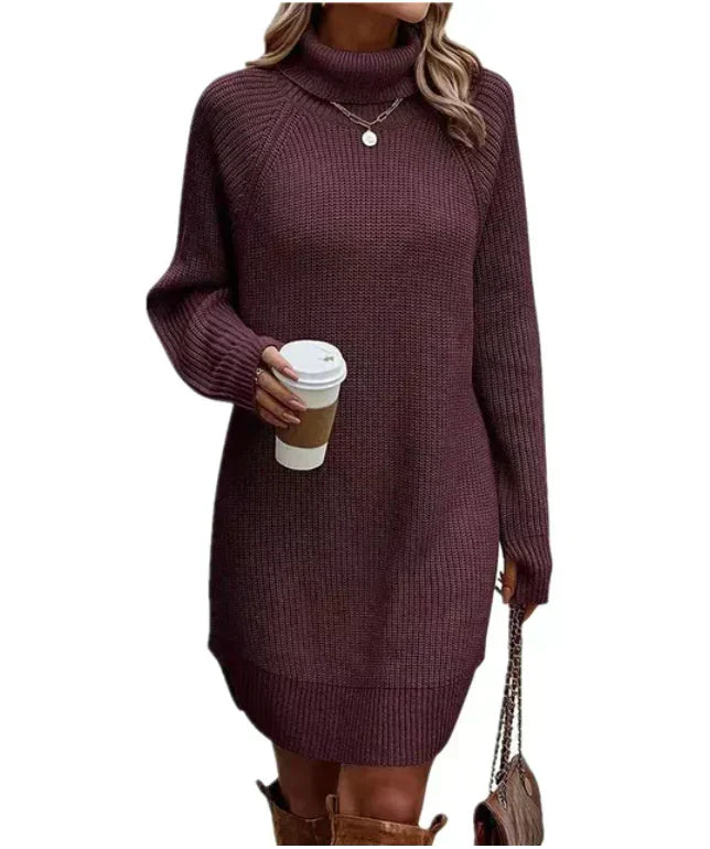 Weiches Damen Sweatkleid Mit Kragen