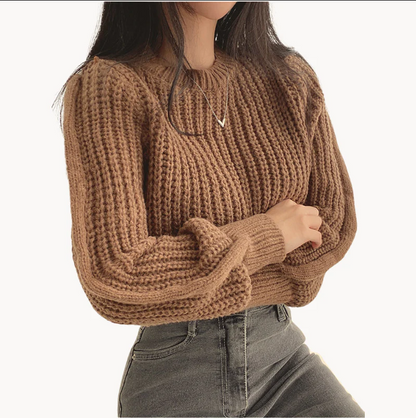 Grob Gestrickter Damenpullover Modern Design