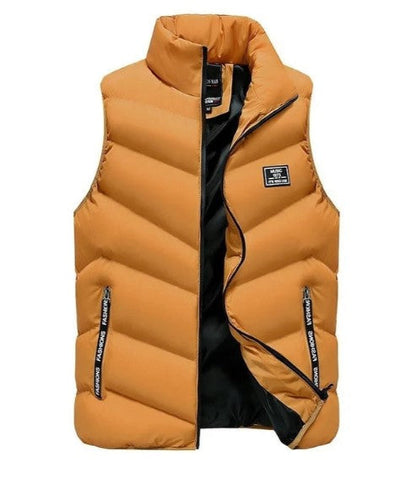 Herren Übergangsjacke Armlos Modern