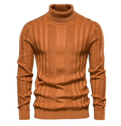 Slim Fit Rollkragen Pullover Modern Design - IdealeKleiden