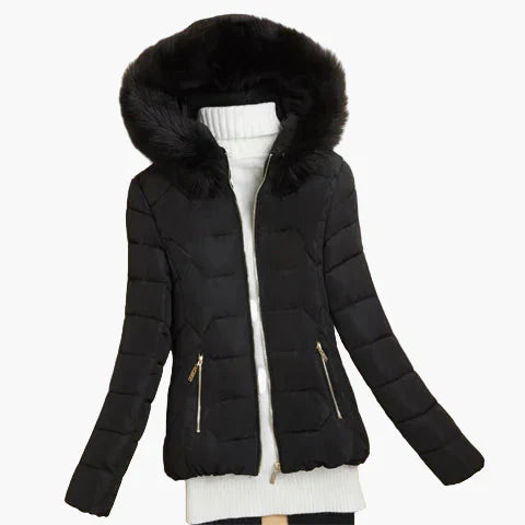 Winter Steppjacke Damen Kapuze Modern