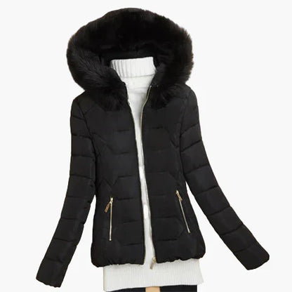 Winter Steppjacke Damen Kapuze Modern