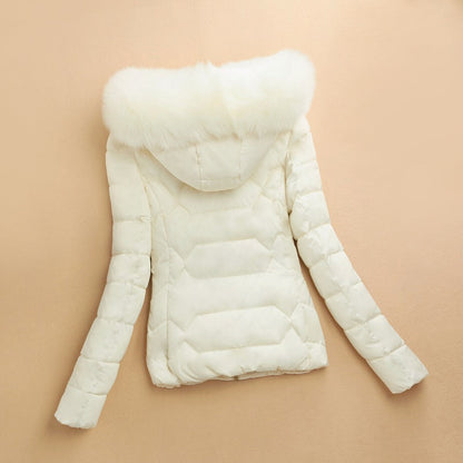Winter Pufferjacke Fellkapuze Damen - IdealeKleiden