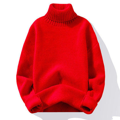 Weiches Strickkleid Rollkragen