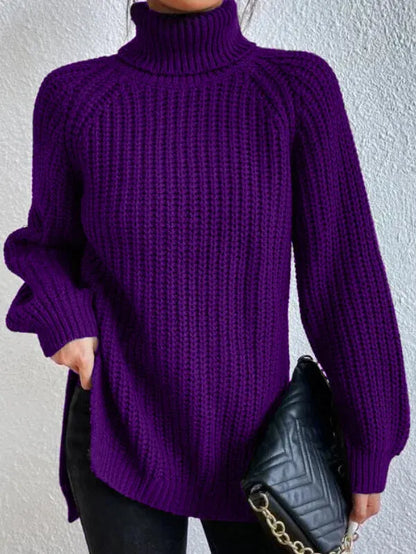 Weicher Frauen Rollkragen Pullover Modern