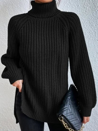 Weicher Frauen Rollkragen Pullover Modern