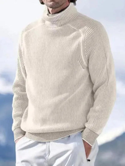 Herren Rollkragenpullover Modern Bequem