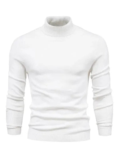Stylische Rollkragen Pullover für Männer