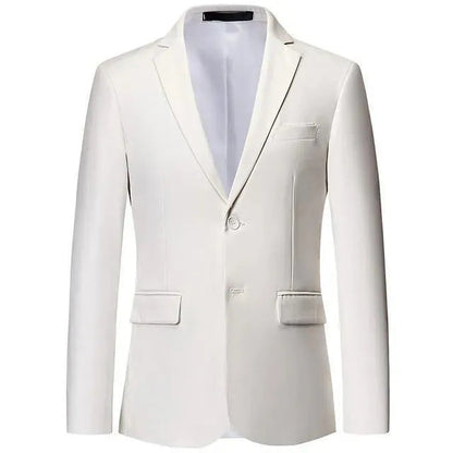Eleganter Herren Blazer 2-Knopf Hochzeitsanzug