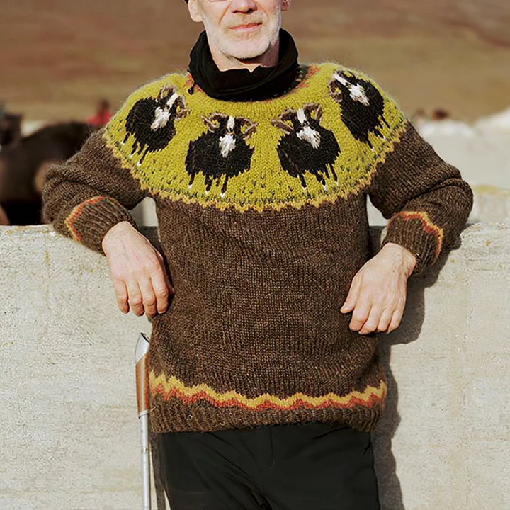 Retro Pullover Herren Rundhals Ausschnitt - IdealeKleiden
