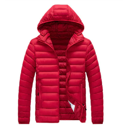 Leichte Steppjacke Damen Kapuze Modern