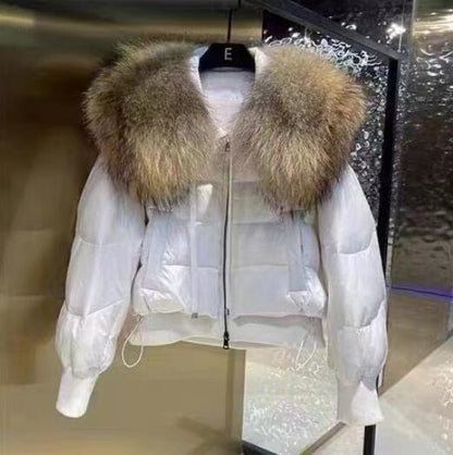 Warme Pufferjacke Damen Stilvoll